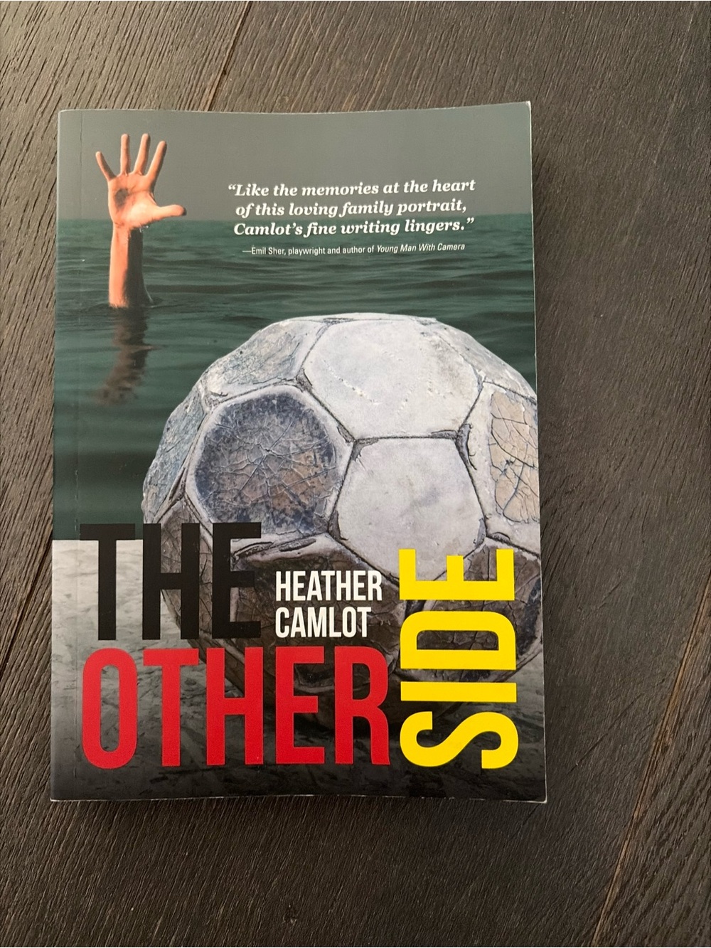 The Other Side by Heather Camlot - Dramatic Green & Gray Cover